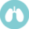 lung sound icon